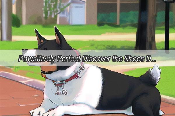 PawsItively Perfect Discover the Shoes Dogs Love to Wear